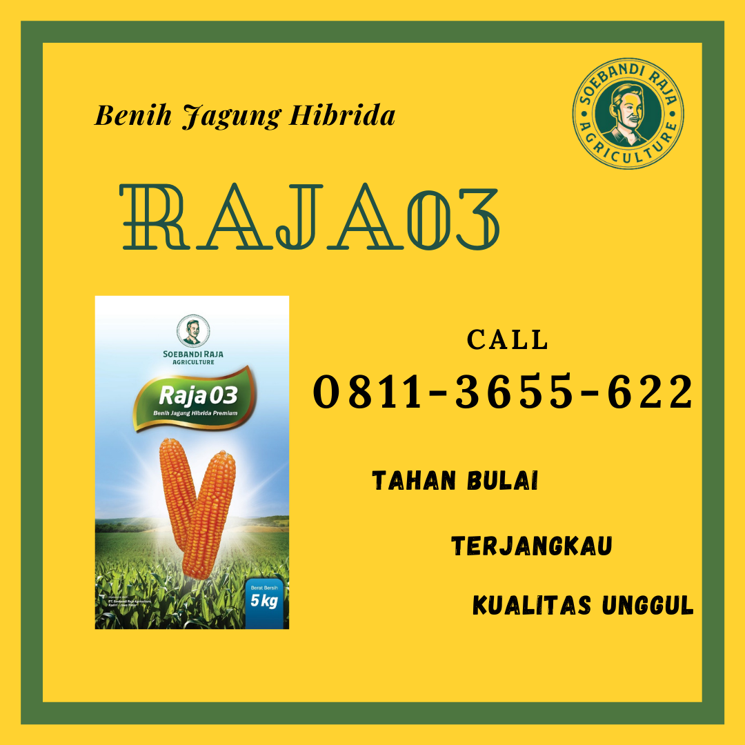 TERJUAL CEPAT, Call 0811-3655-622, Bibit Jagung Paling Laris Soebandi Raja