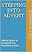 Stepping Into Advent  by Bethany m. Cseh