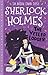 The Adventure of the Veiled Lodger