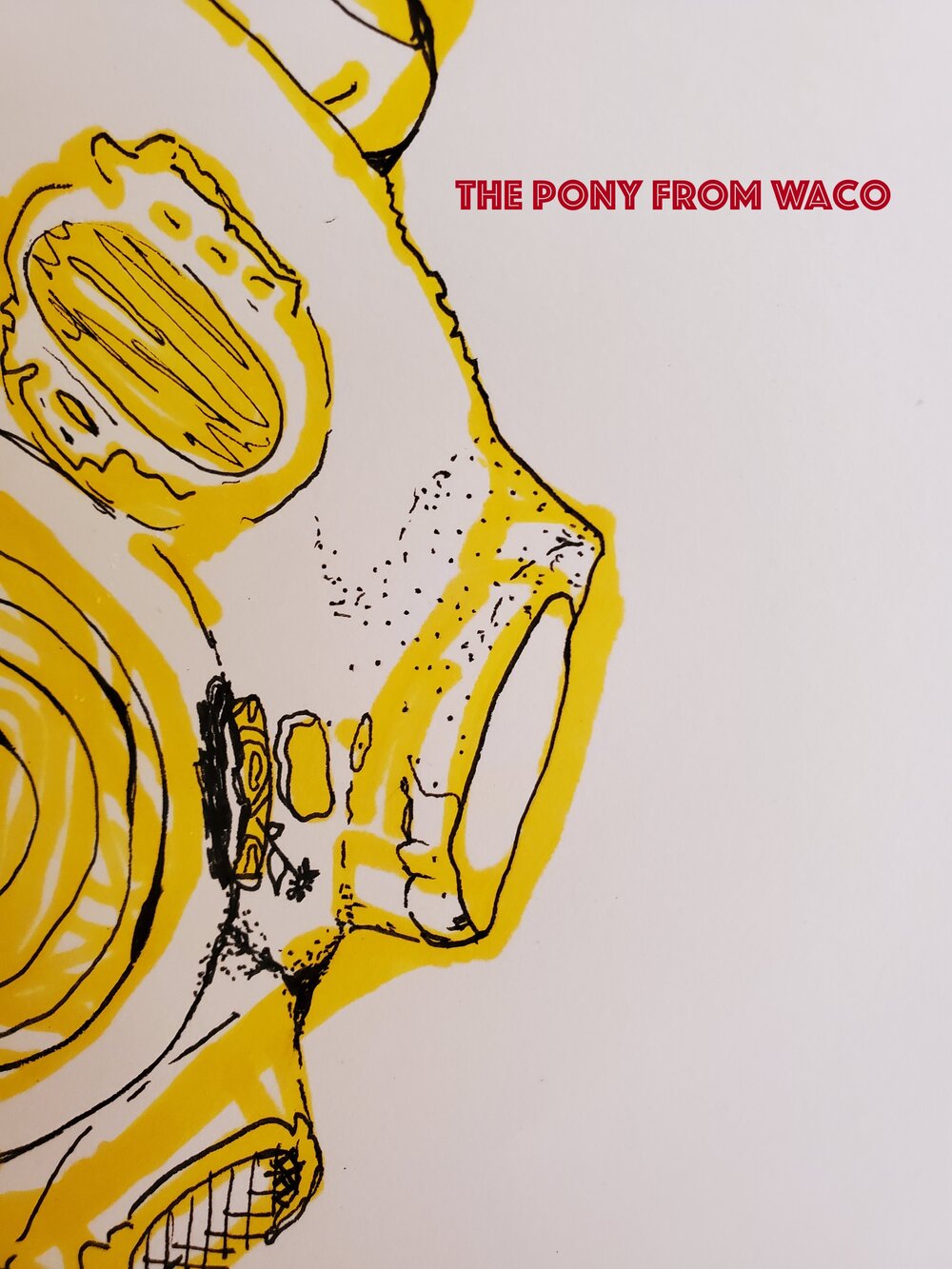 The Pony From Waco (ebook)