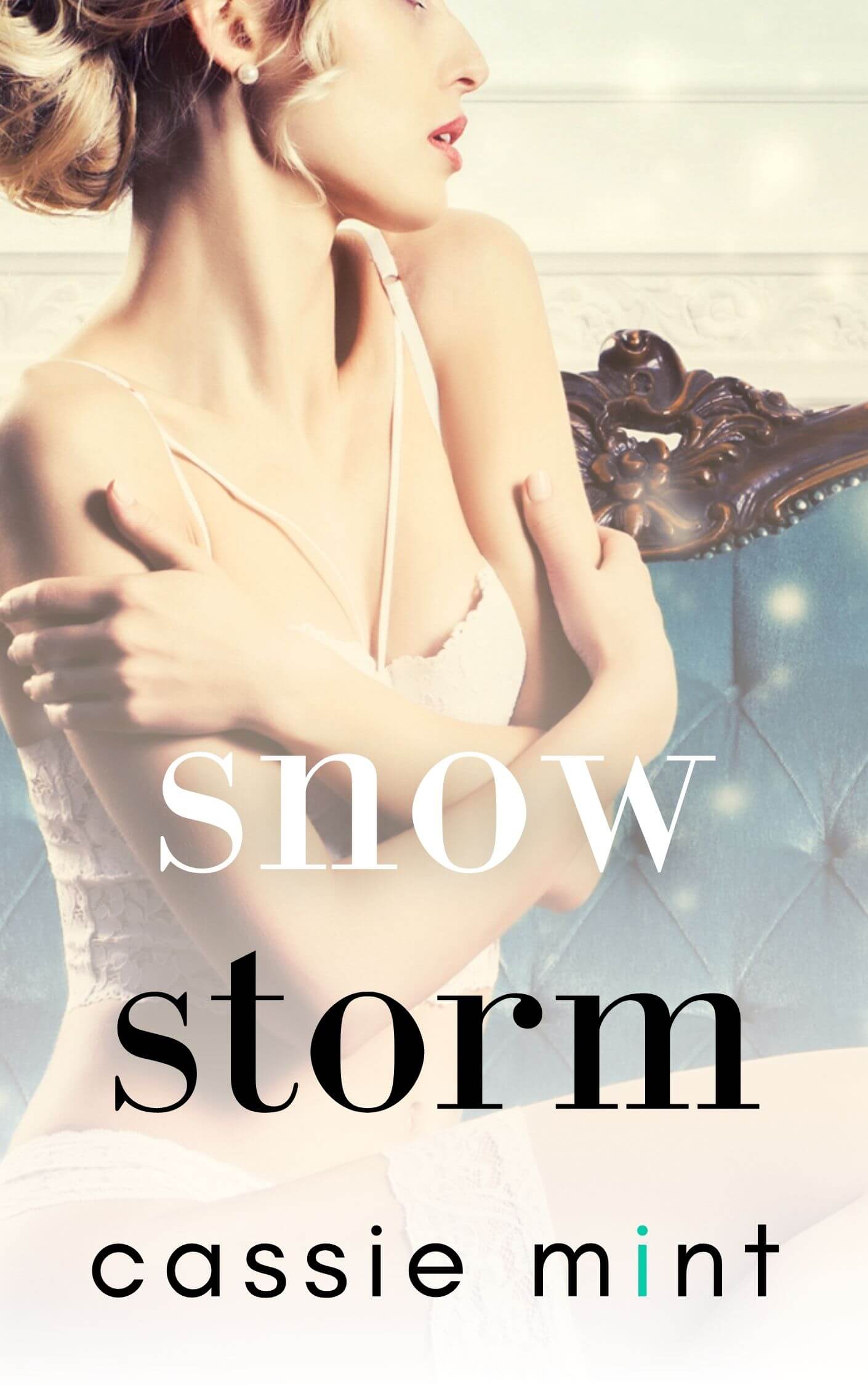 Snow Storm (Kindle Edition)