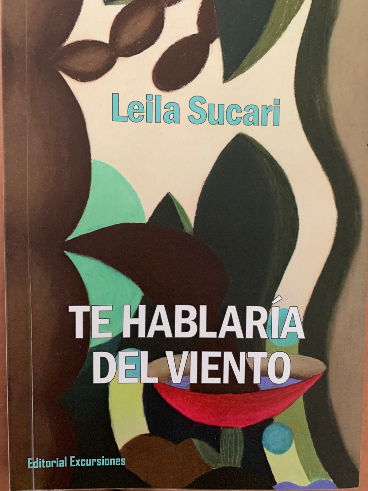 Te hablaría del viento (Paperback)