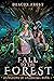 Fall to the Forest (Dungeon...