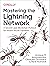 Mastering the Lightning Network: A Second Layer Blockchain Protocol for Instant Bitcoin Payments