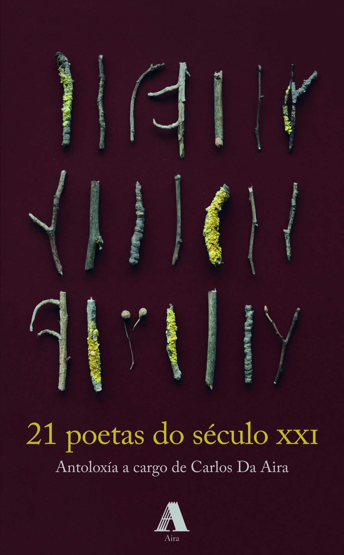 21 poetas do século XXI (Library Binding)