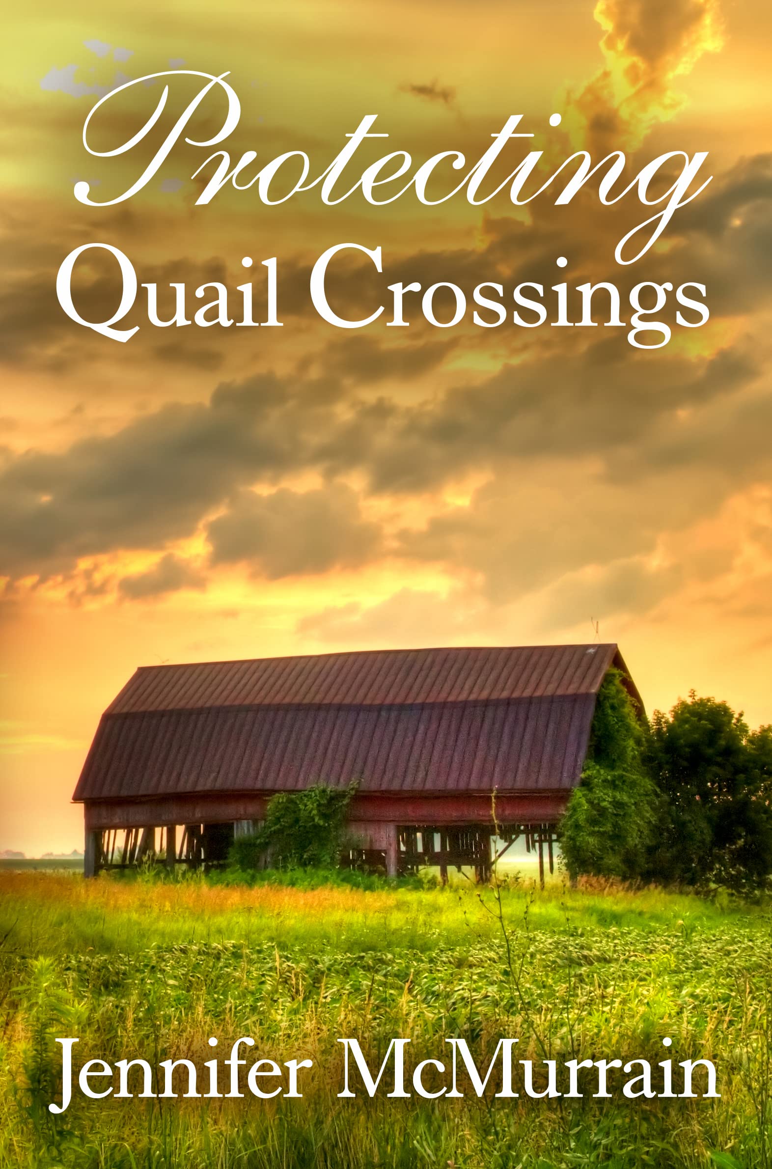Protecting Quail Crossings (Kindle Edition)