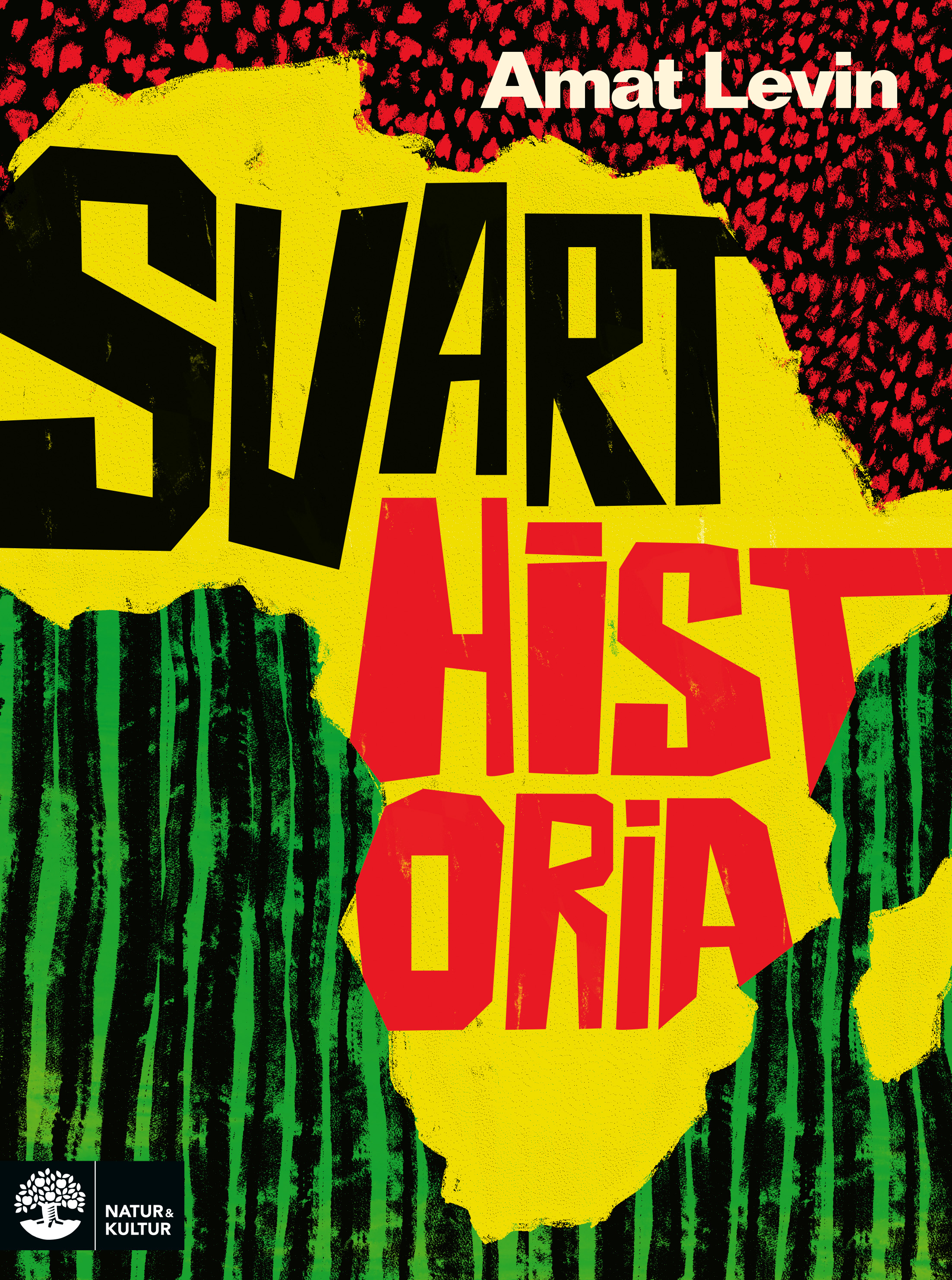 Svart historia (Paperback)