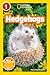 Hedgehogs (National Geographic Kids Readers, Level 1)