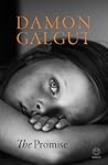 The Promise by Damon Galgut
