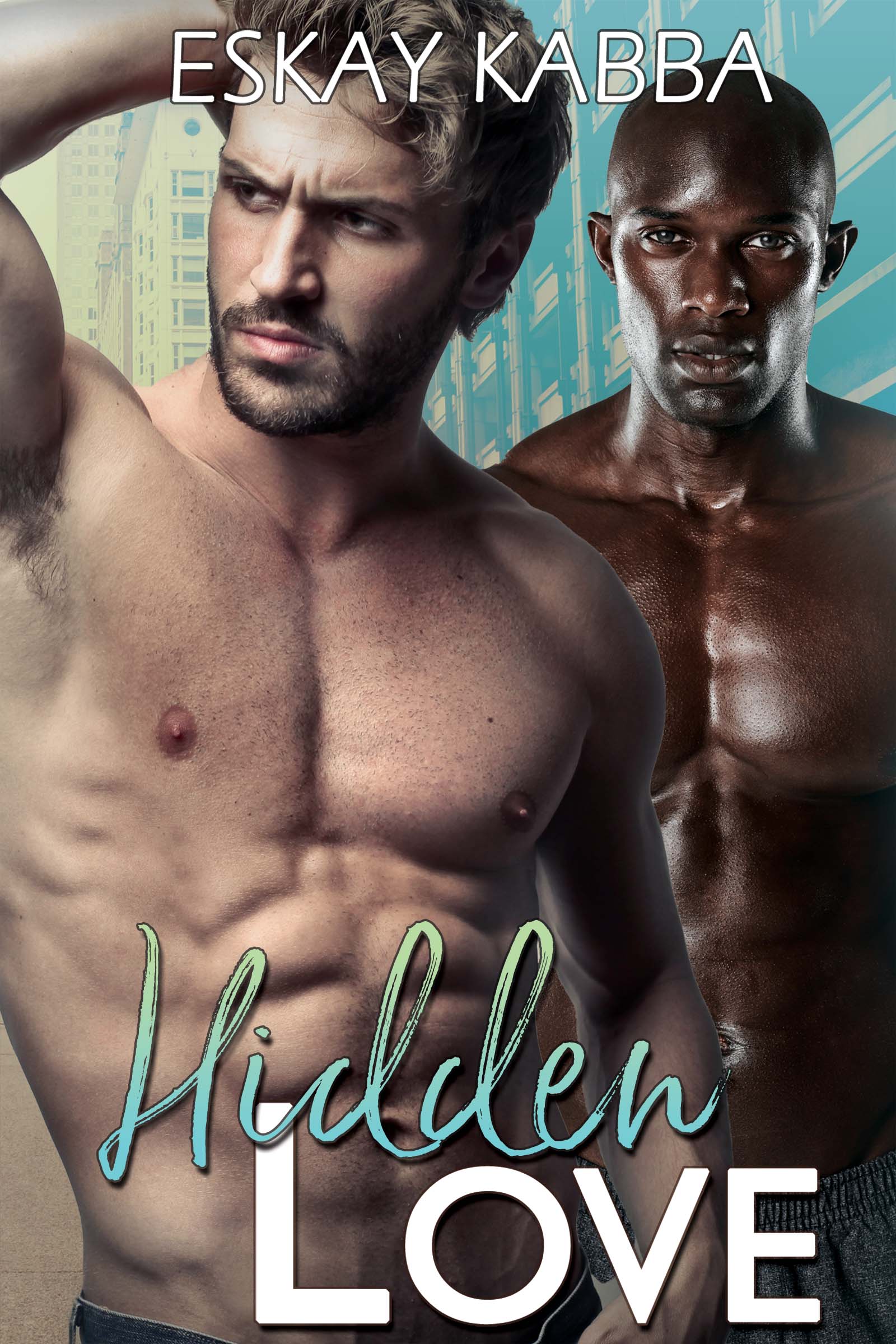 Hidden Love (Hidden Love, #1)