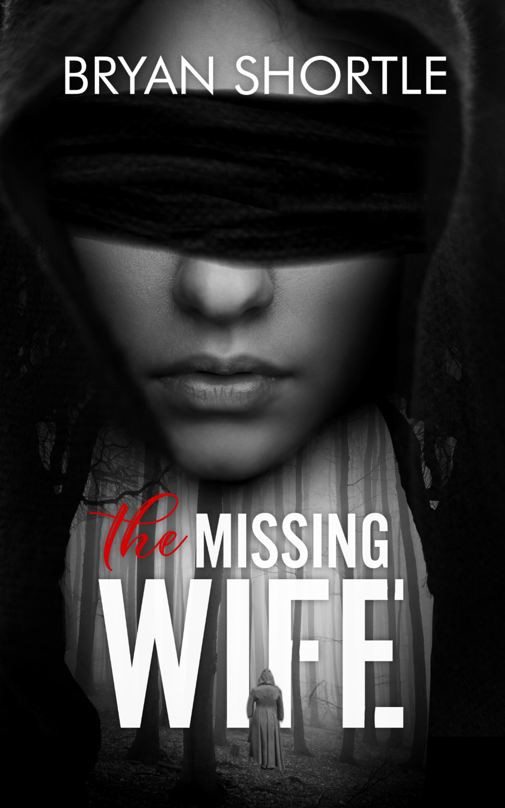 The Missing Wife - A Mystery Suspense Novella (ebook)