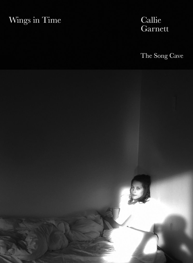 Wings in Time (Paperback)