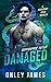 Damaged (Necessary Evils, #...