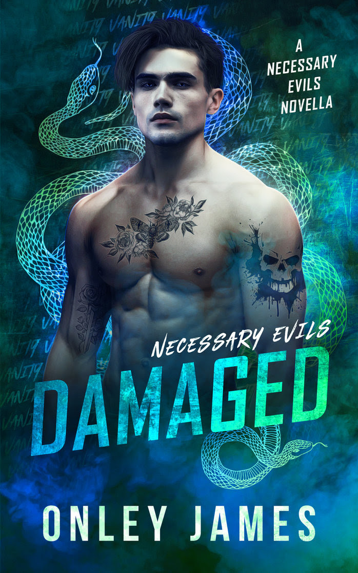 Damaged (Necessary Evils, #3.5)