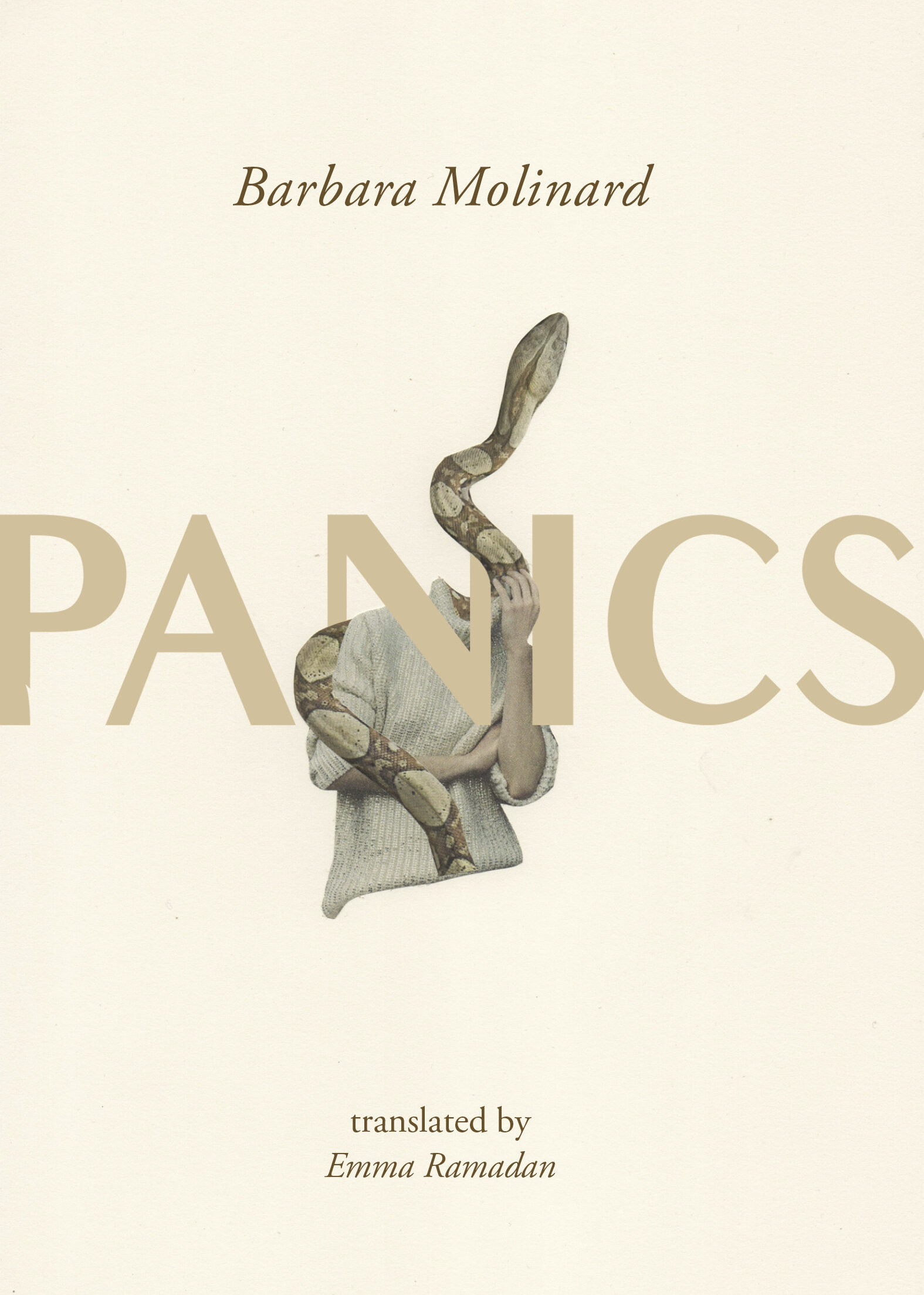 Panics (Paperback)