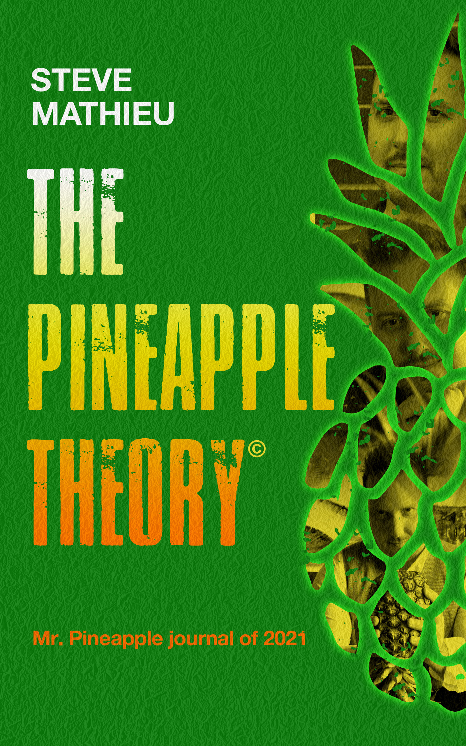 The Pineapple Theory  - Mr. Pineapple Journal of 2021