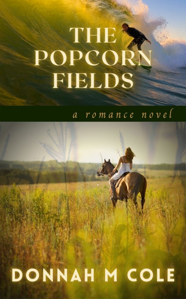 The Popcorn Fields (The Midwestern Series, Book #1)