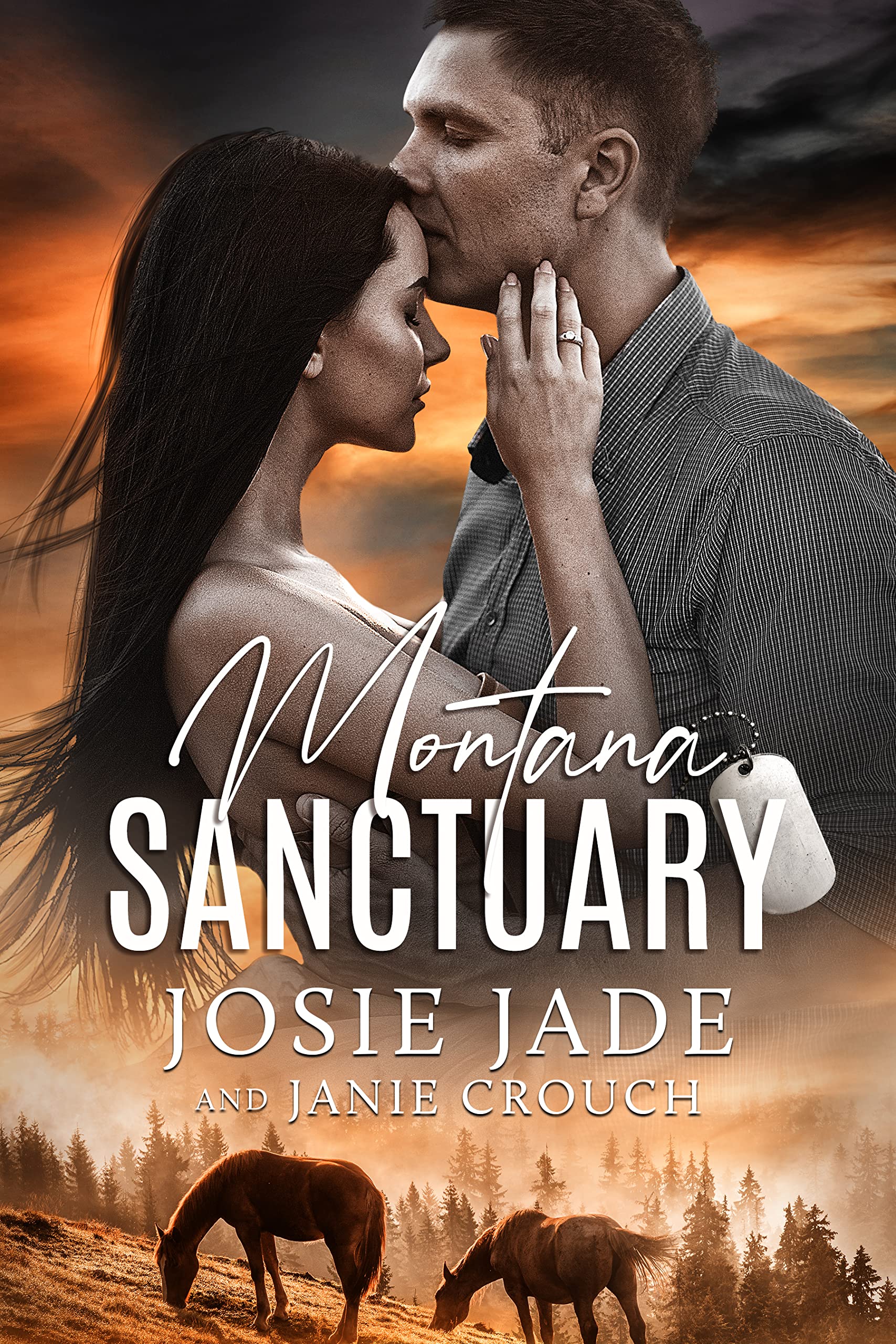 Montana Sanctuary (Resting Warrior Ranch, #1)