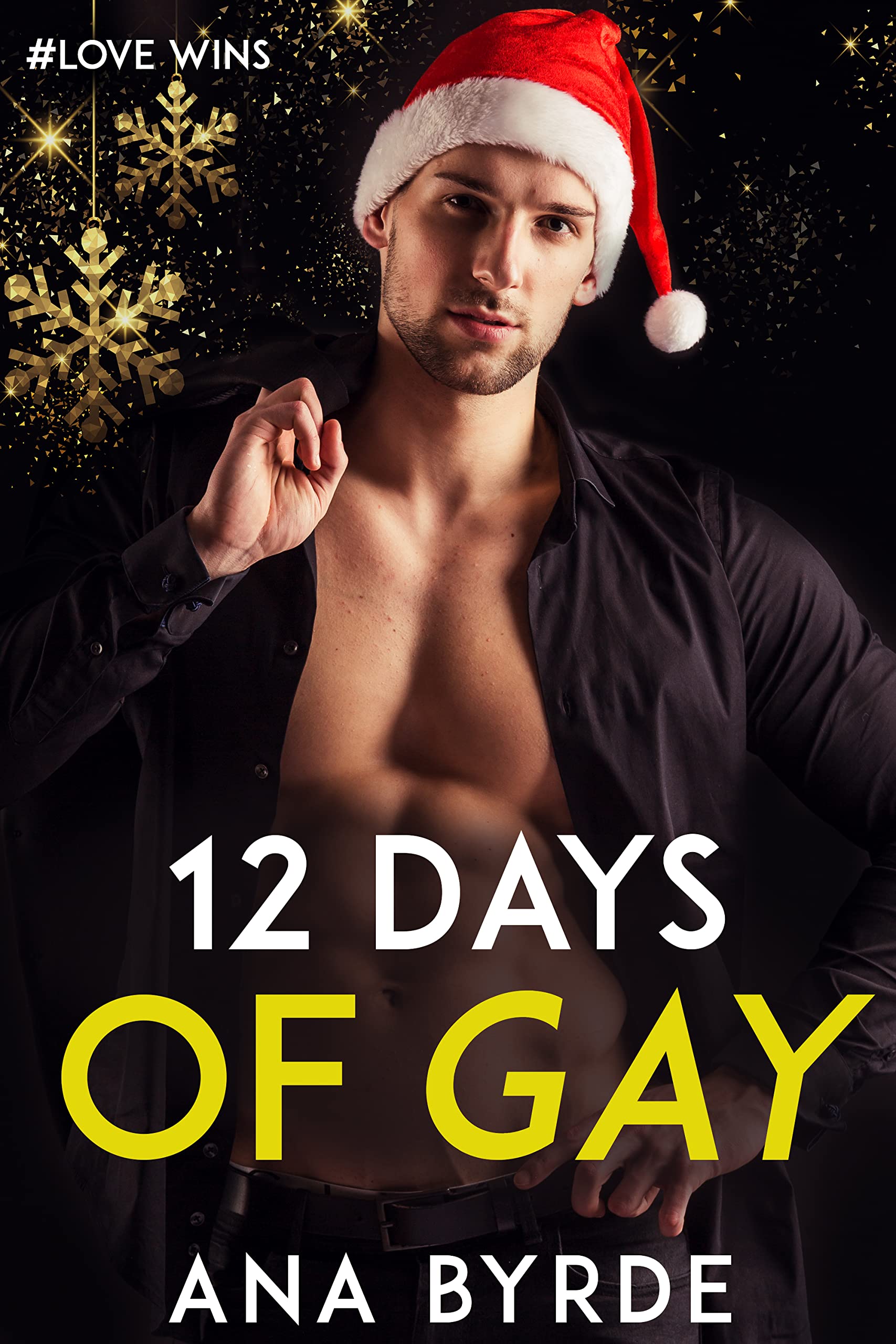 12 Days of Gay (#Love Wins #5)