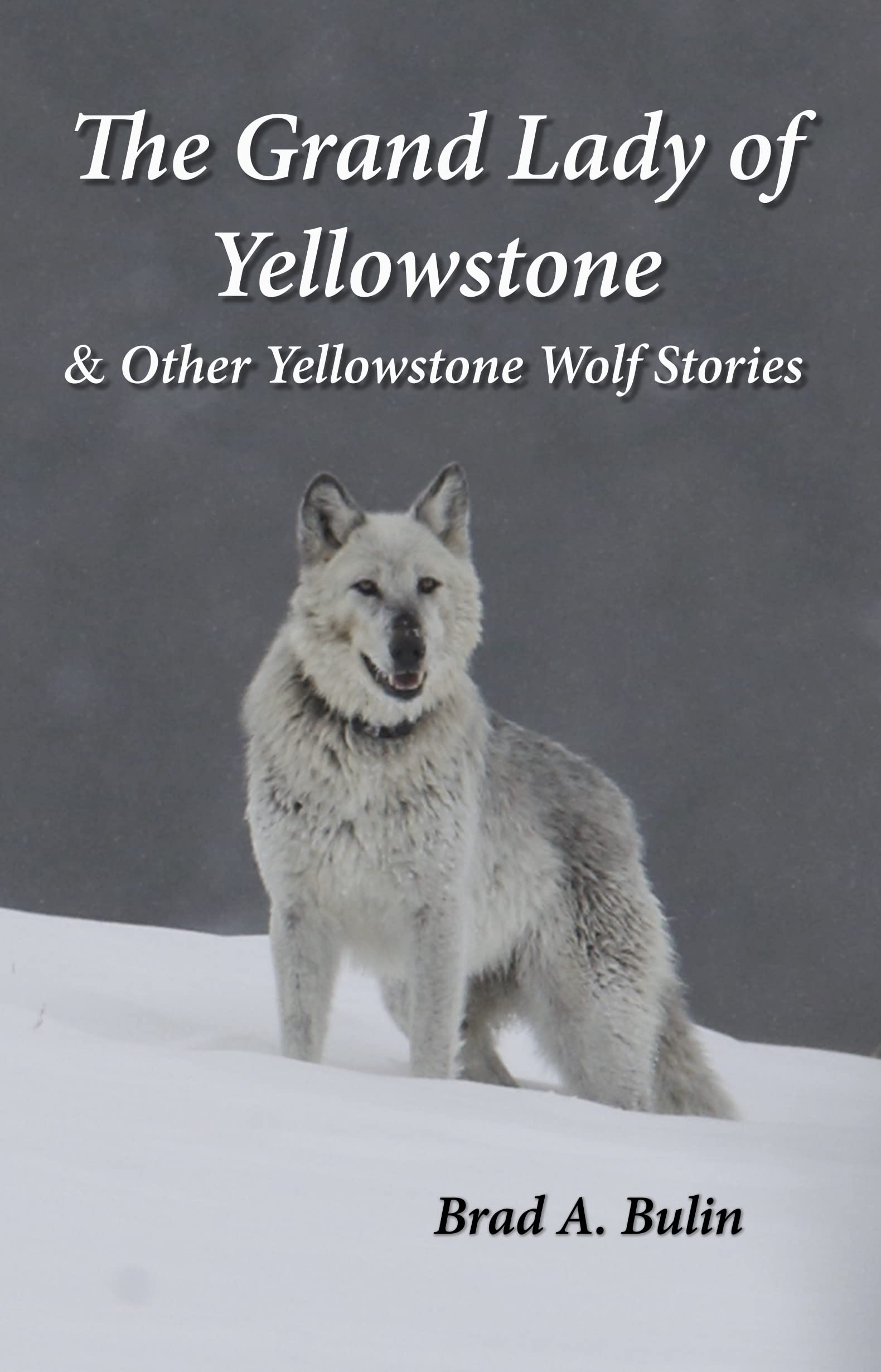 The Grand Lady of Yellowstone: & Other Yellowstone Wolf Stories (Kindle Edition)