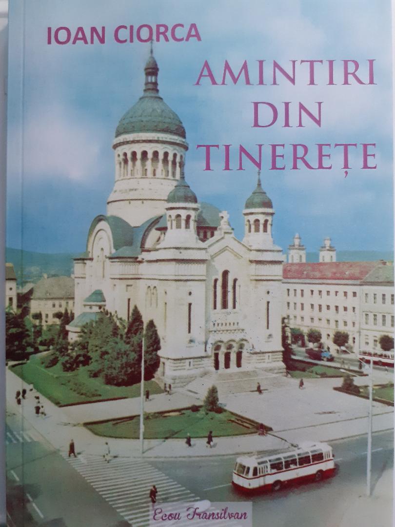 Amintiri din tinerete