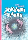 Soklandi saladus by Ingrid Hübscher
