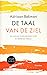 De taal van de ziel by Adriaan Bekman