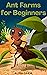 Ant Farms for Beginners : B...