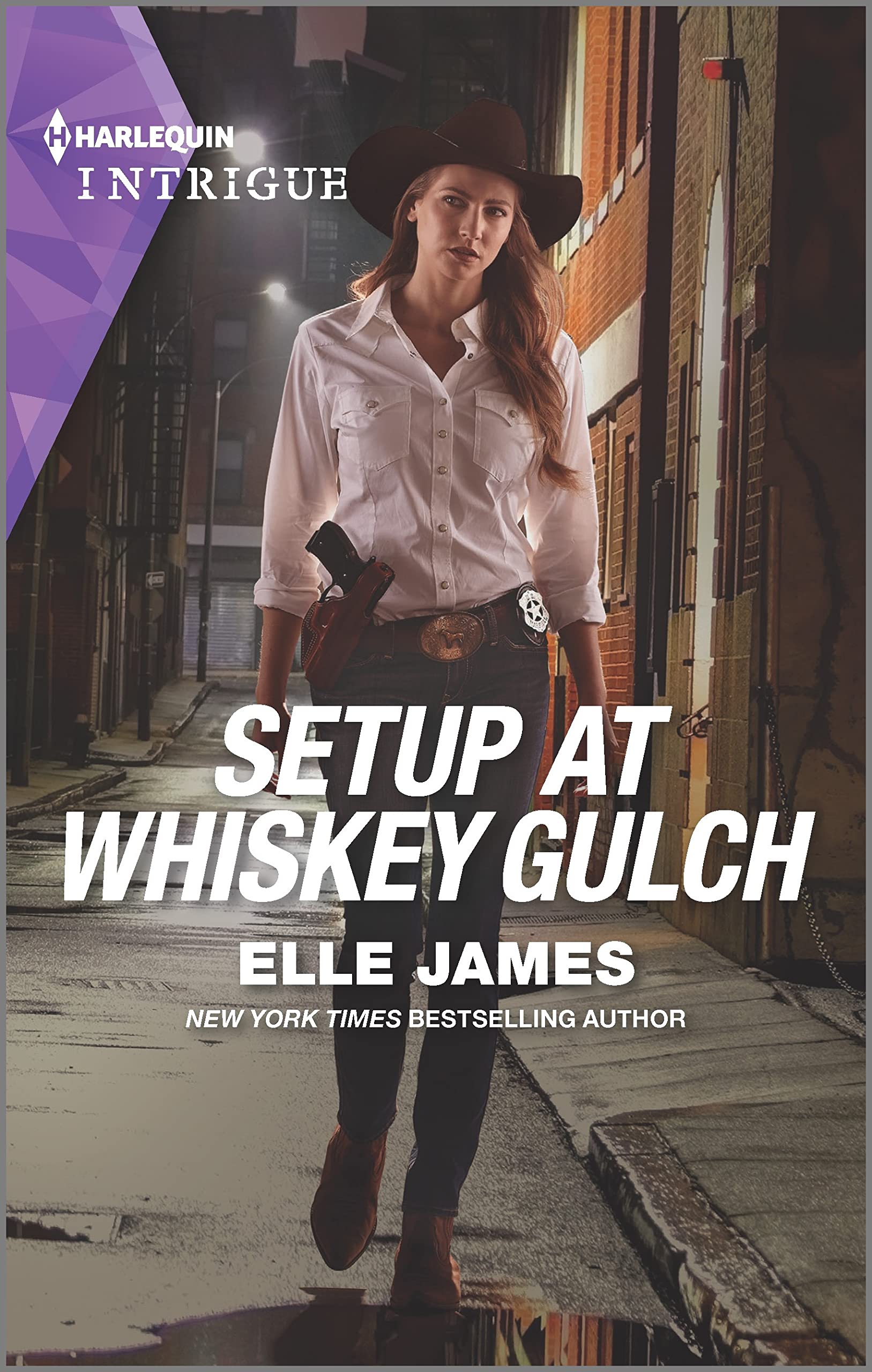 Setup at Whiskey Gulch (The Outriders #4)