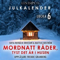 Mordnatt råder: tyst det är i husen. Lucka 6