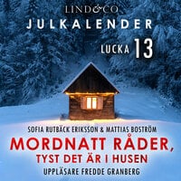Mordnatt råder: tyst det är i husen. Lucka 13