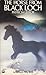 The Horse from Black Loch
