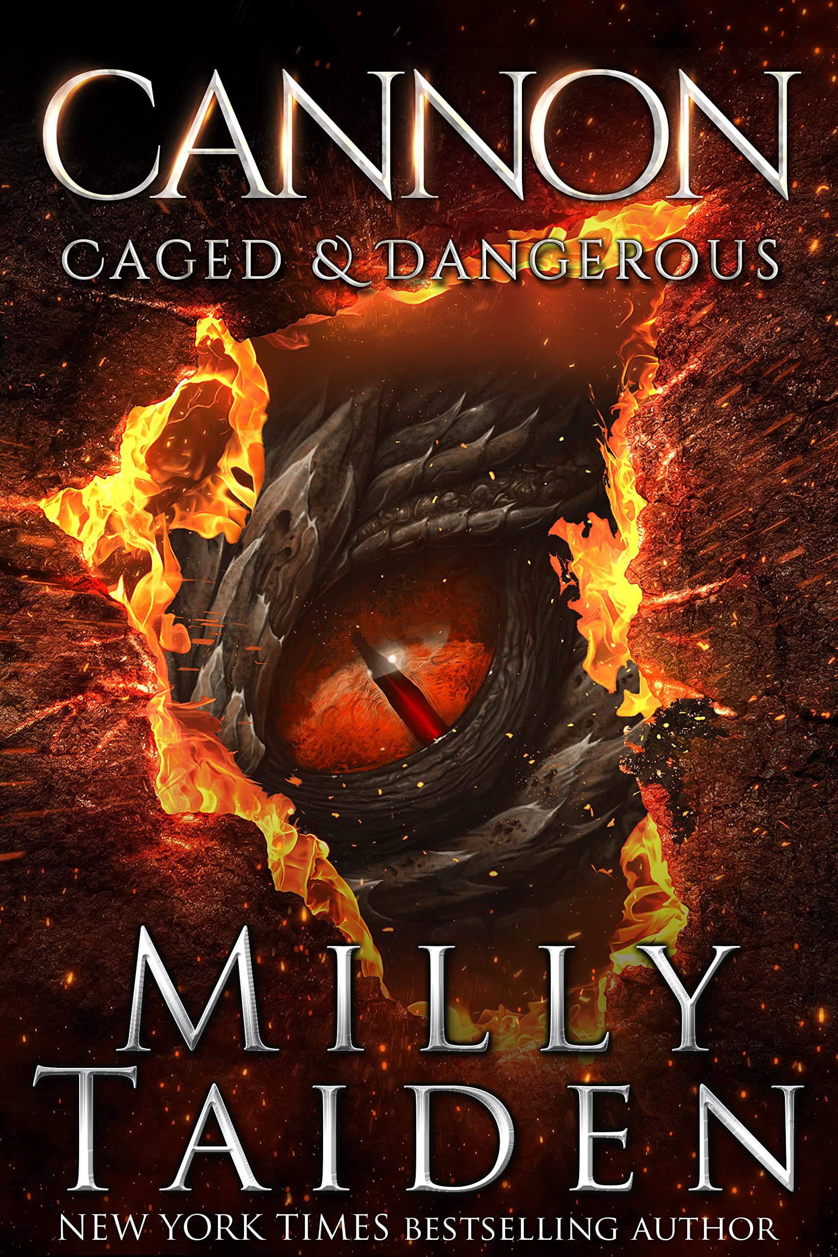 Cannon (Caged and Dangerous, #1)