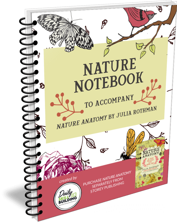 Nature Notebook - a Companion to Nature Anatomy by Julia Rothman