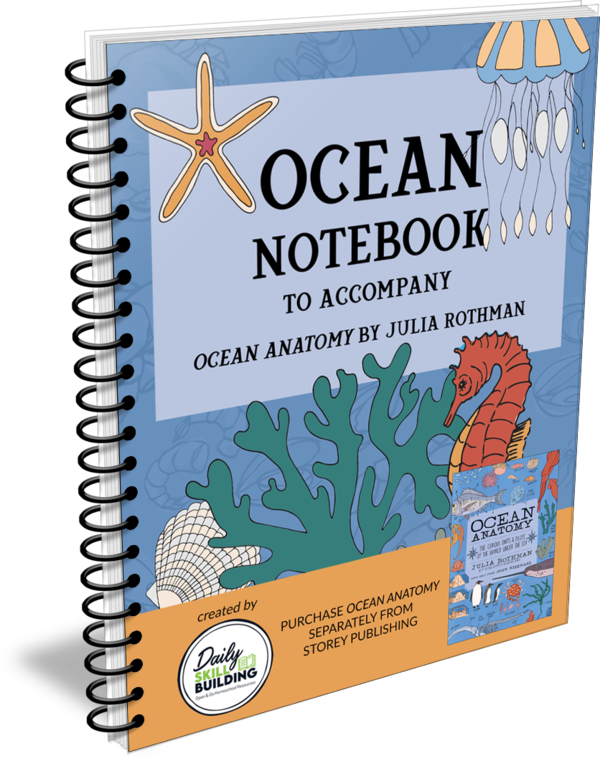 Ocean Notebook - a Companion to Ocean Anatomy by Julia Rothman
