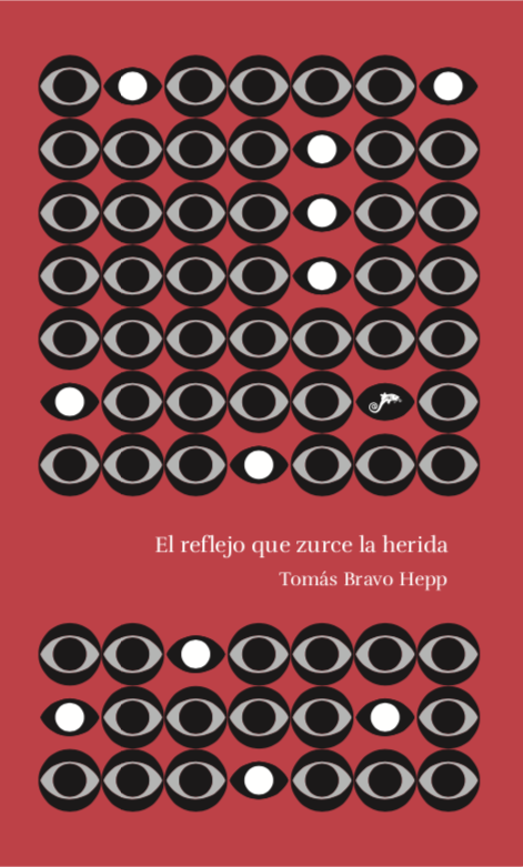 El reflejo que zurce la herida (Paperback)