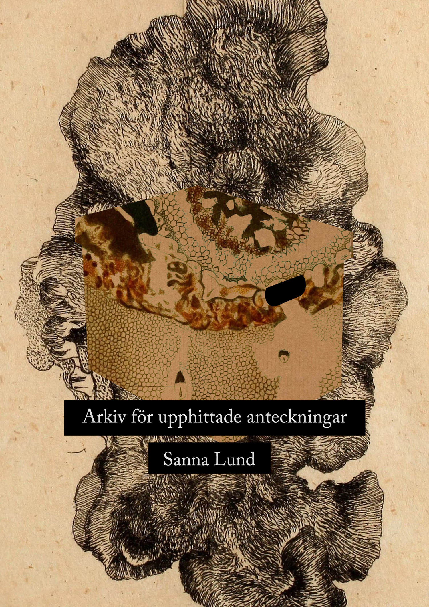 Arkiv för upphittade anteckningar (Arkiv för upphittade anteckningar, #1)