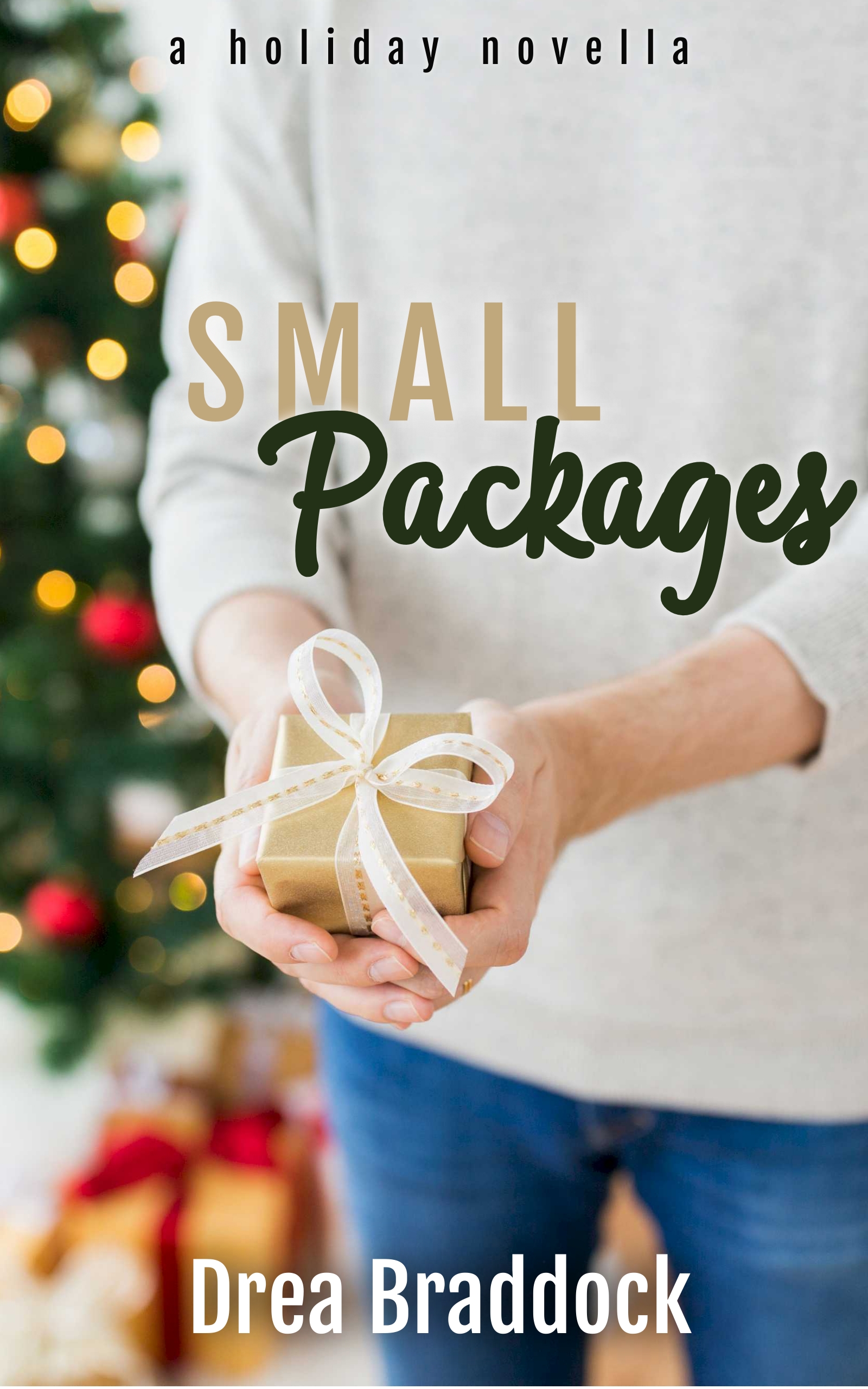 Small Packages (Oahu Naval Officers holiday novella)