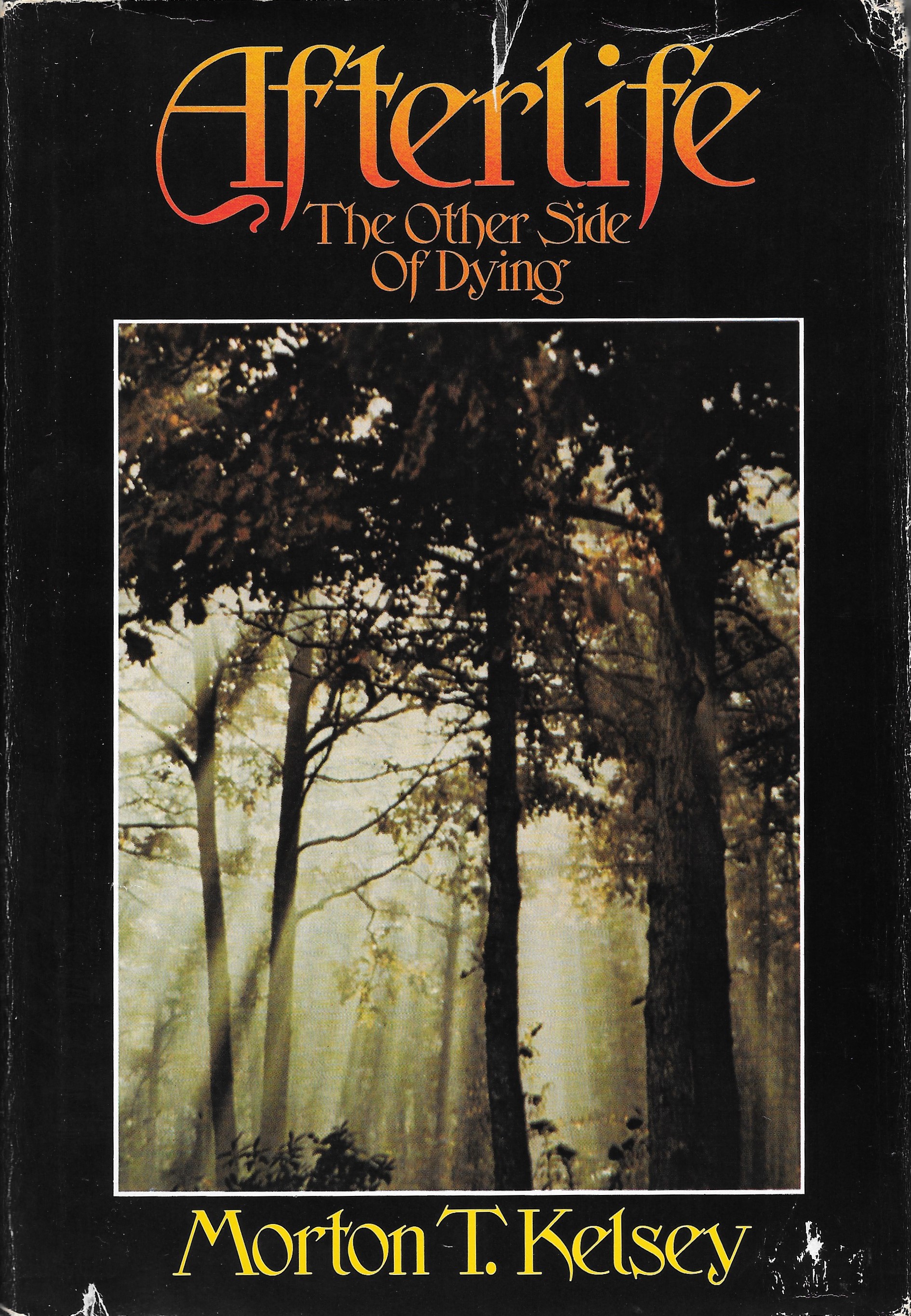 Afterlife: The Other Side of Dying (Hardcover)