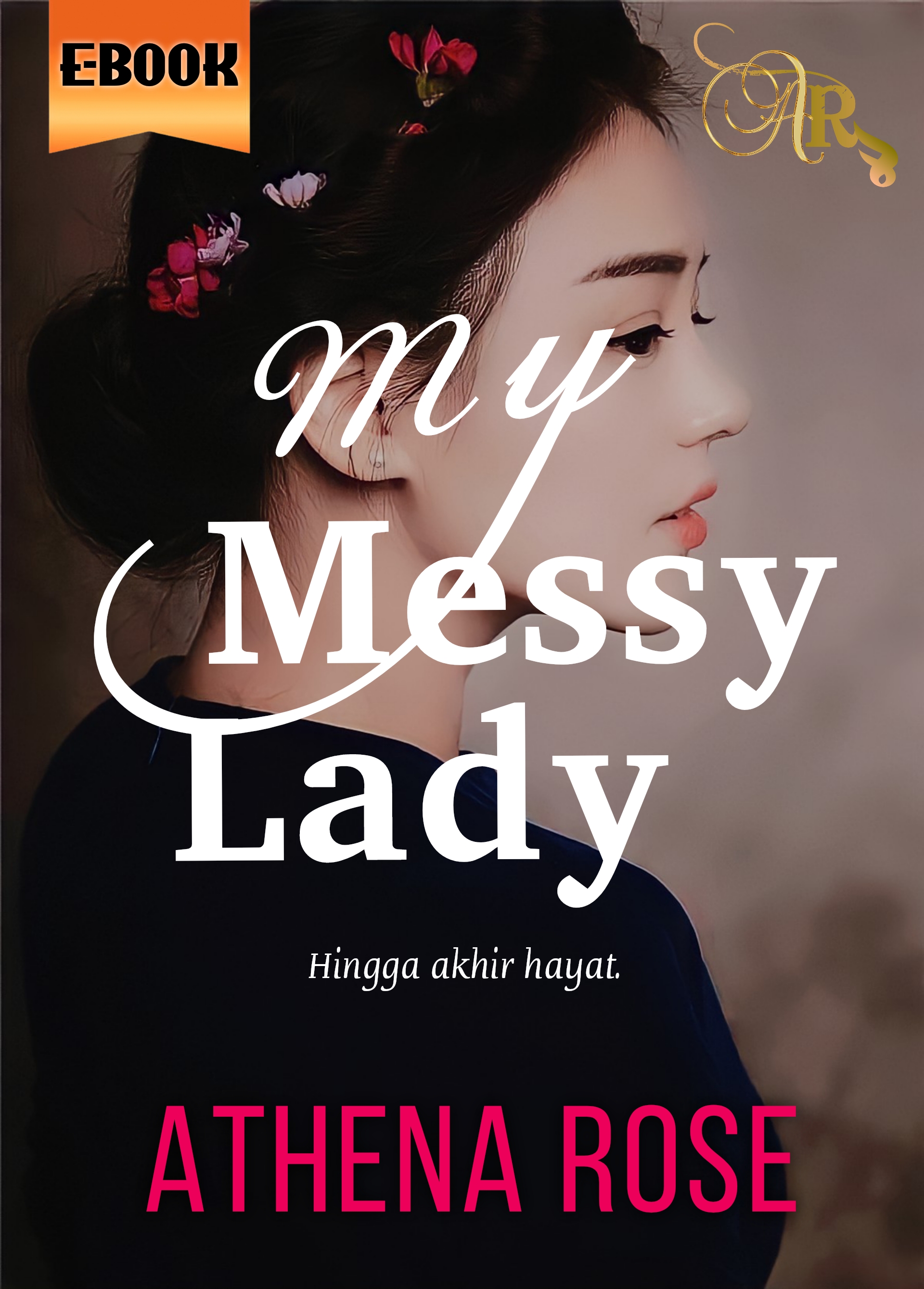 My Messy Lady (ebook)