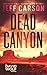 Dead Canyon (David Wolf, #16)