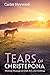 Tears of Christepona: Mystical Musings on Grief, Evil, and Godding
