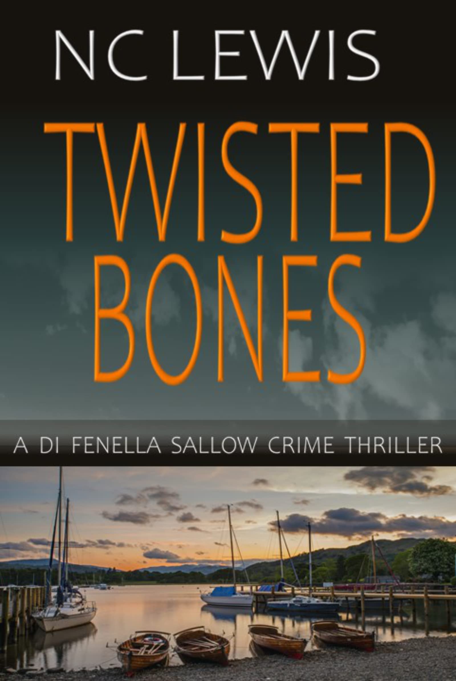 Twisted Bones (DI Fenella Sallow, #3)