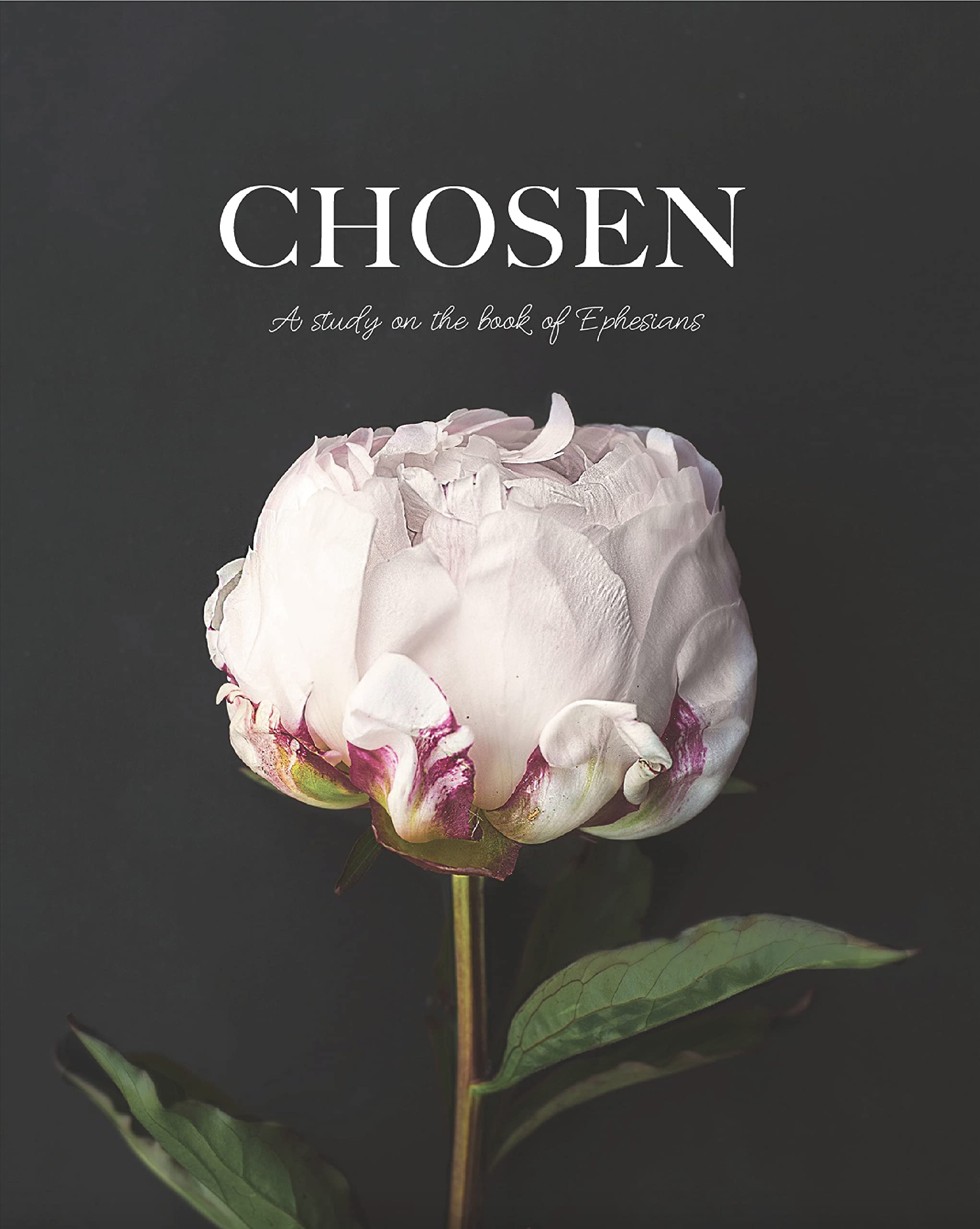 Chosen | Ephesians Study (Paperback)