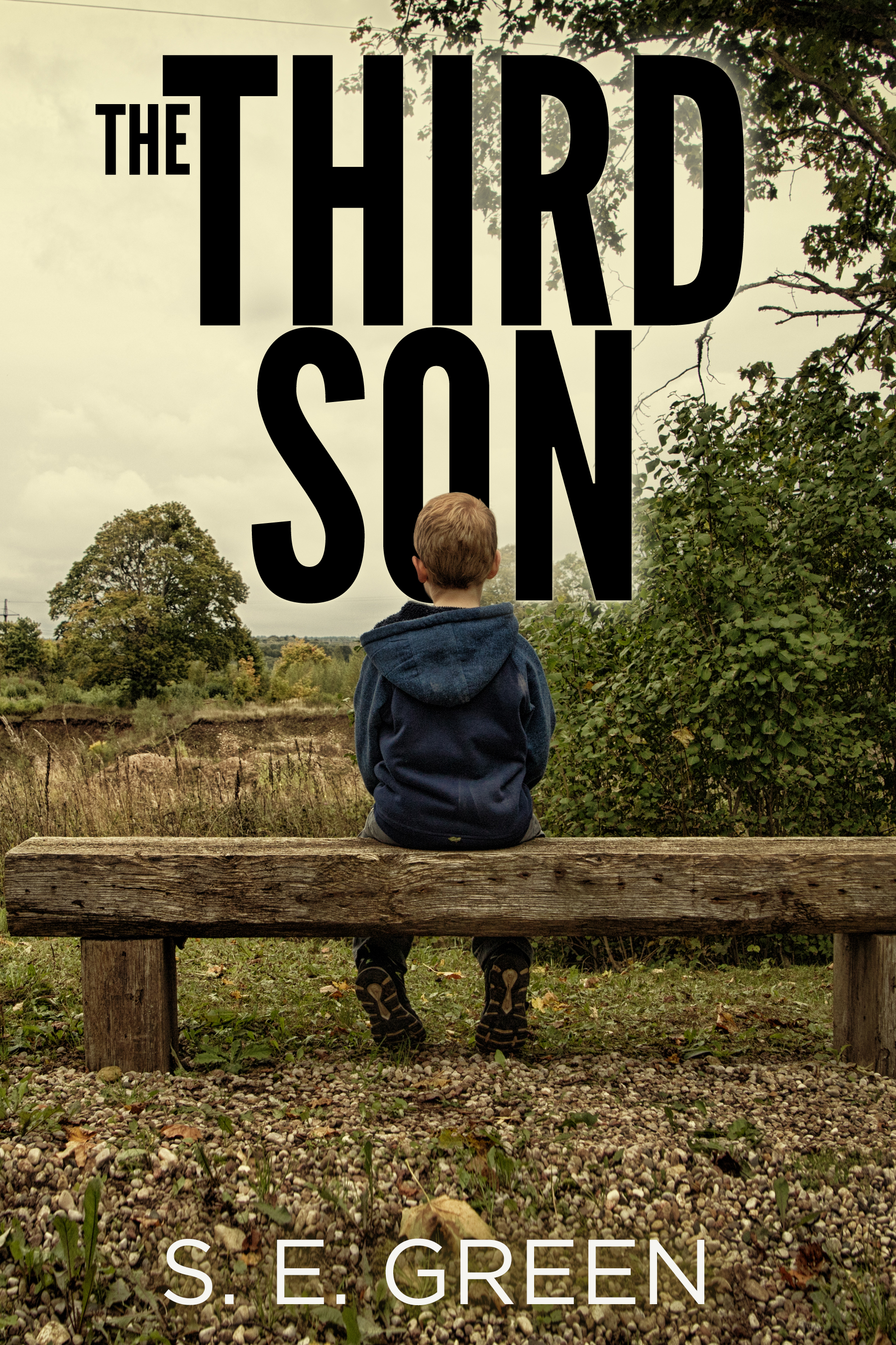 The Third Son (ebook)