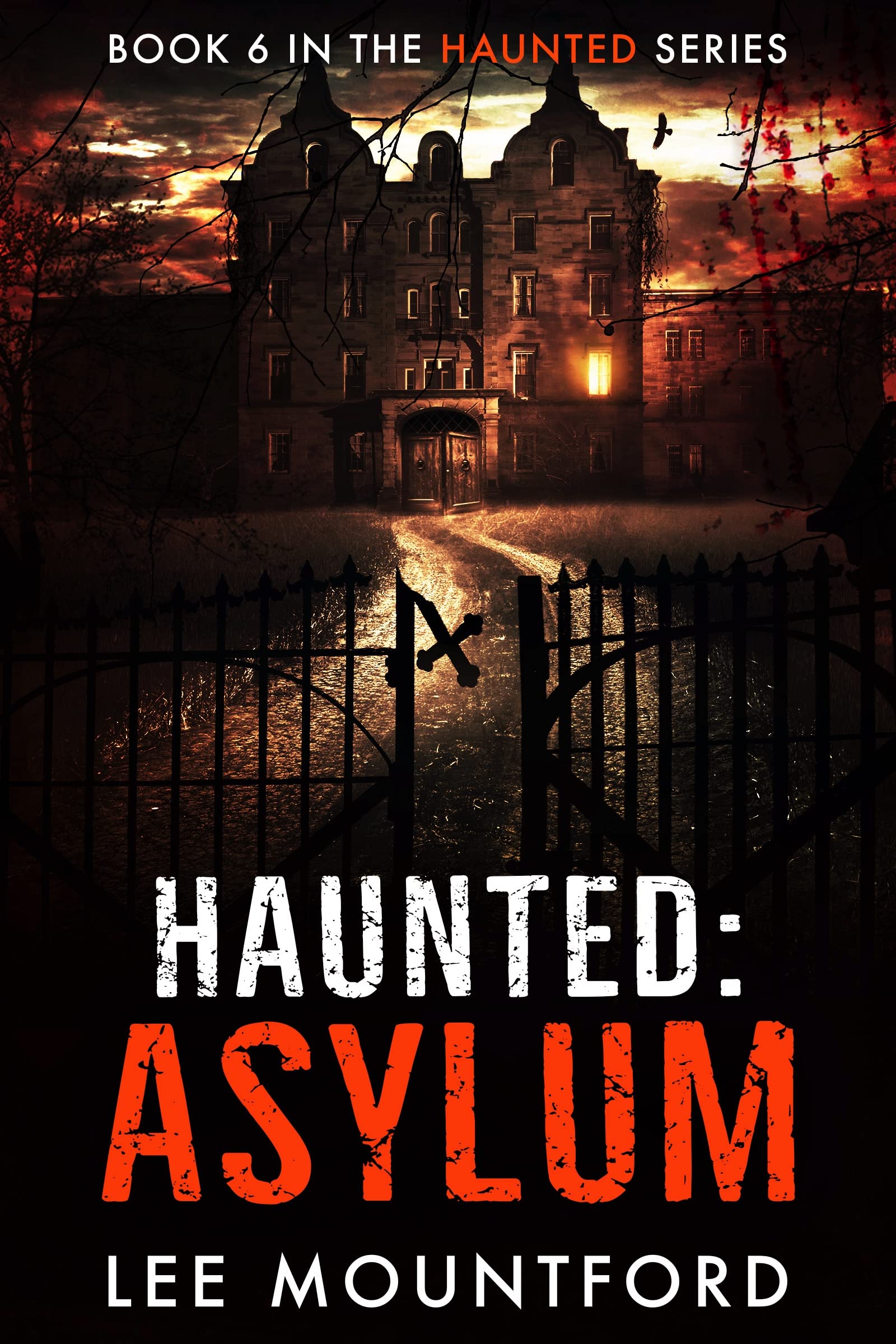 Asylum (Haunted, #6)