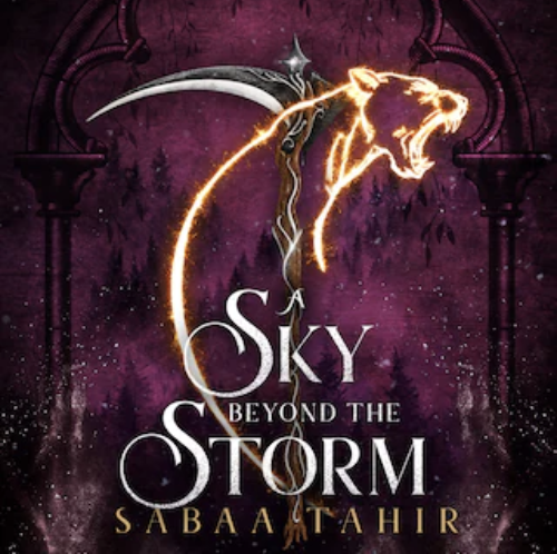 A ​Sky Beyond the Storm