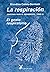 La respiración: El gesto respiratorio. Anatomía para el movimiento (tomo IV)