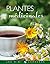 Plantes médicinales