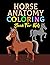 Horse Anatomy Coloring Book...
